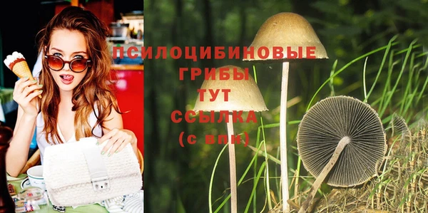 гашишное масло Аркадак