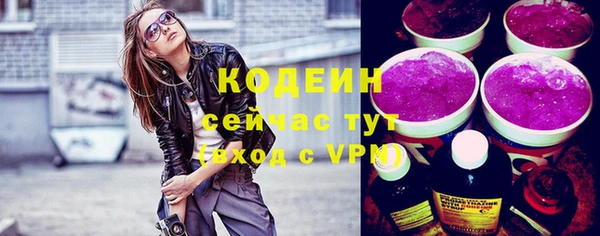 гидра Арсеньев