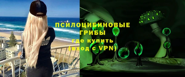 гидра Арсеньев