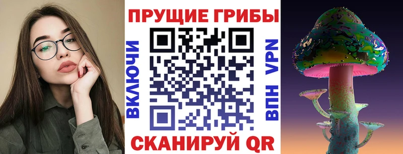 Псилоцибиновые грибы GOLDEN TEACHER  как найти закладки  omg зеркало  Полысаево 
